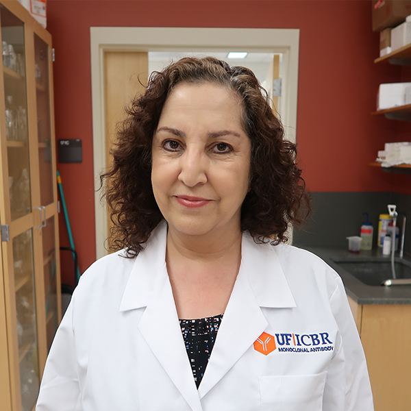 Faculty Member Shadi Bootorabi