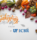 ICBR Closed for the Thanksgiving Holiday!