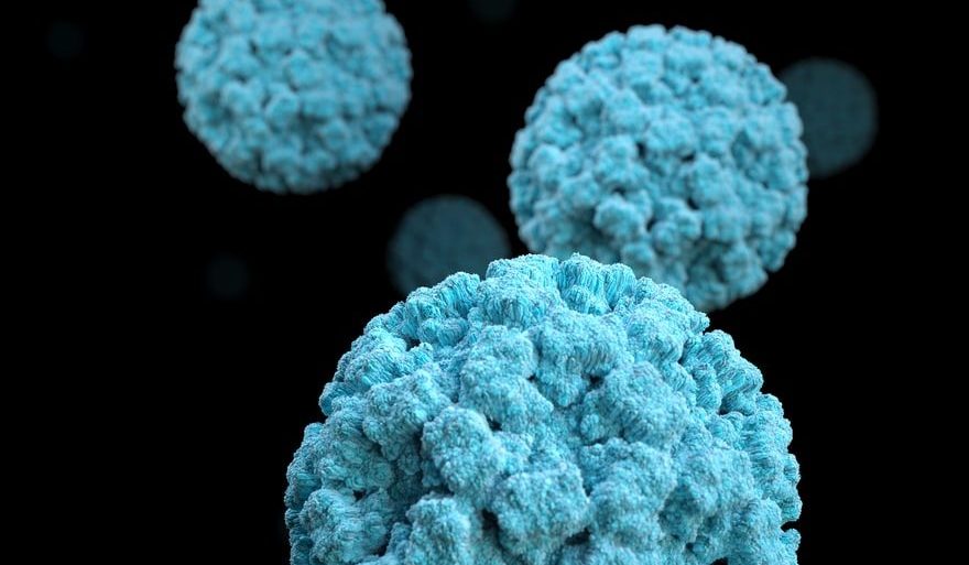 Covid-19 Vaccines Enhance the Effectiveness of Immune Checkpoint Inhibitors in Fighting Cancer