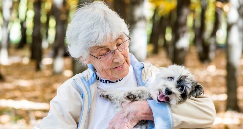 Long-Term Pet Ownership May Help Older Adults Retain Cognitive Skills ...